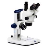 Stereo Microscope